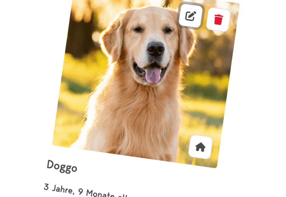 04-create-dogs-screenshot.png_screenshot