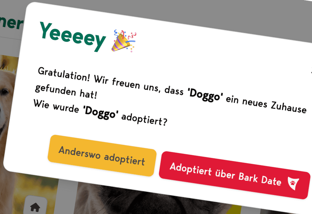 07-adopted-screenshot.png_screenshot